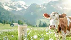 Best milk for children’s health in Pakistan